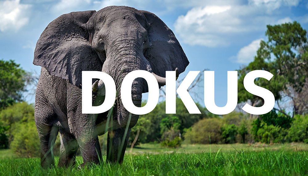 Dokus